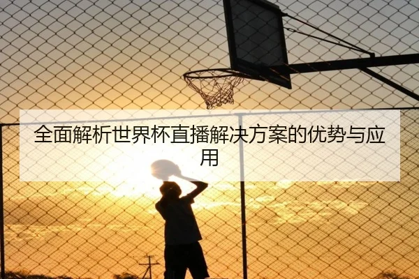 全面解析世界杯直播解决方案的优势与应用