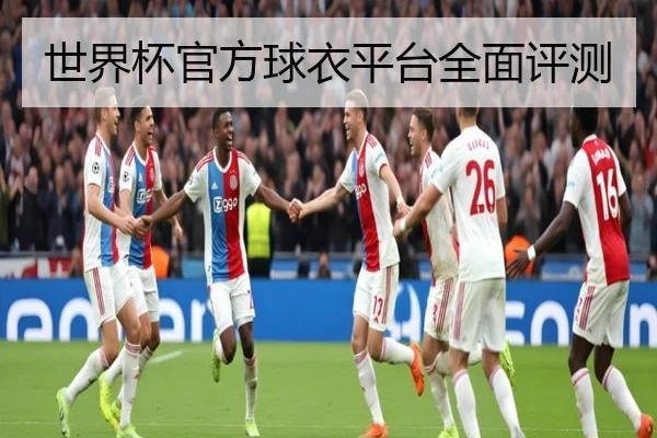 世界杯官方球衣平台全面评测