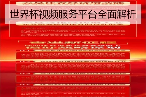世界杯视频服务平台全面解析