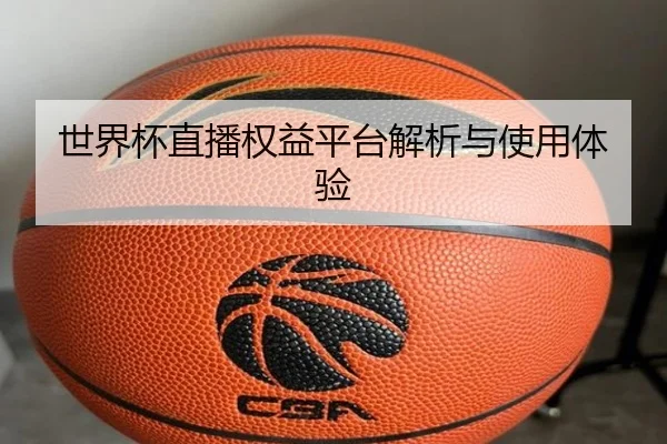 世界杯直播权益平台解析与使用体验