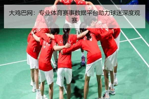 大鸡巴网：专业体育赛事数据平台助力球迷深度观赛